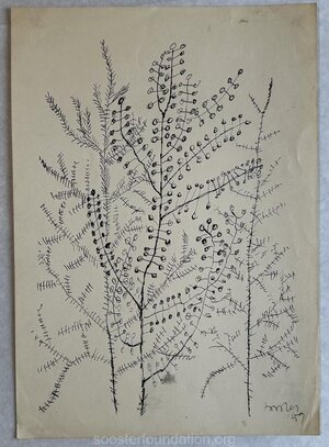 Kadakaoksad. 1959 Tušš paberil 25,3 × 17,3 cm