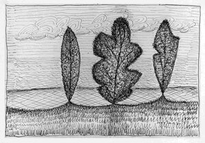 Junipers. 1959 Ink, Paper 19 x 27 cm