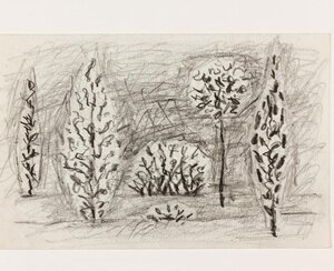 Junipers. Presumably the end of the 1950s Pencil, paper 13 x 20 cm